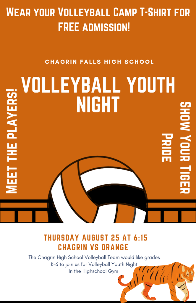 Volleyball Youth Night