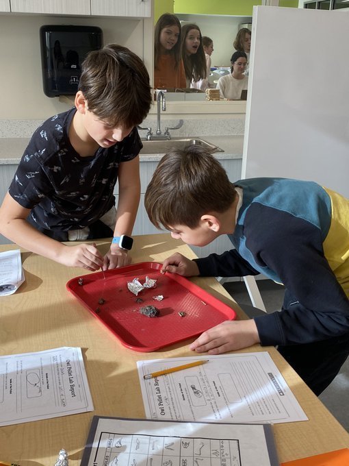 Science can be both fun and gross! Owl pellet dissection day! We found lots of bones, including skulls and jaws.